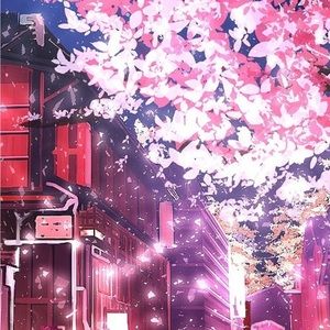 Meet your Posher, Casey